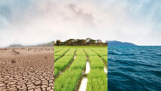 types of climate: cracked desert, green grass, clean water