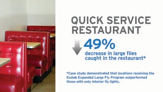 LargeFlyQSRCaseStudyImage