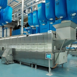 Commercial Tunnel Washer