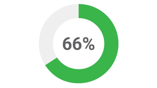 66% Donut Chart